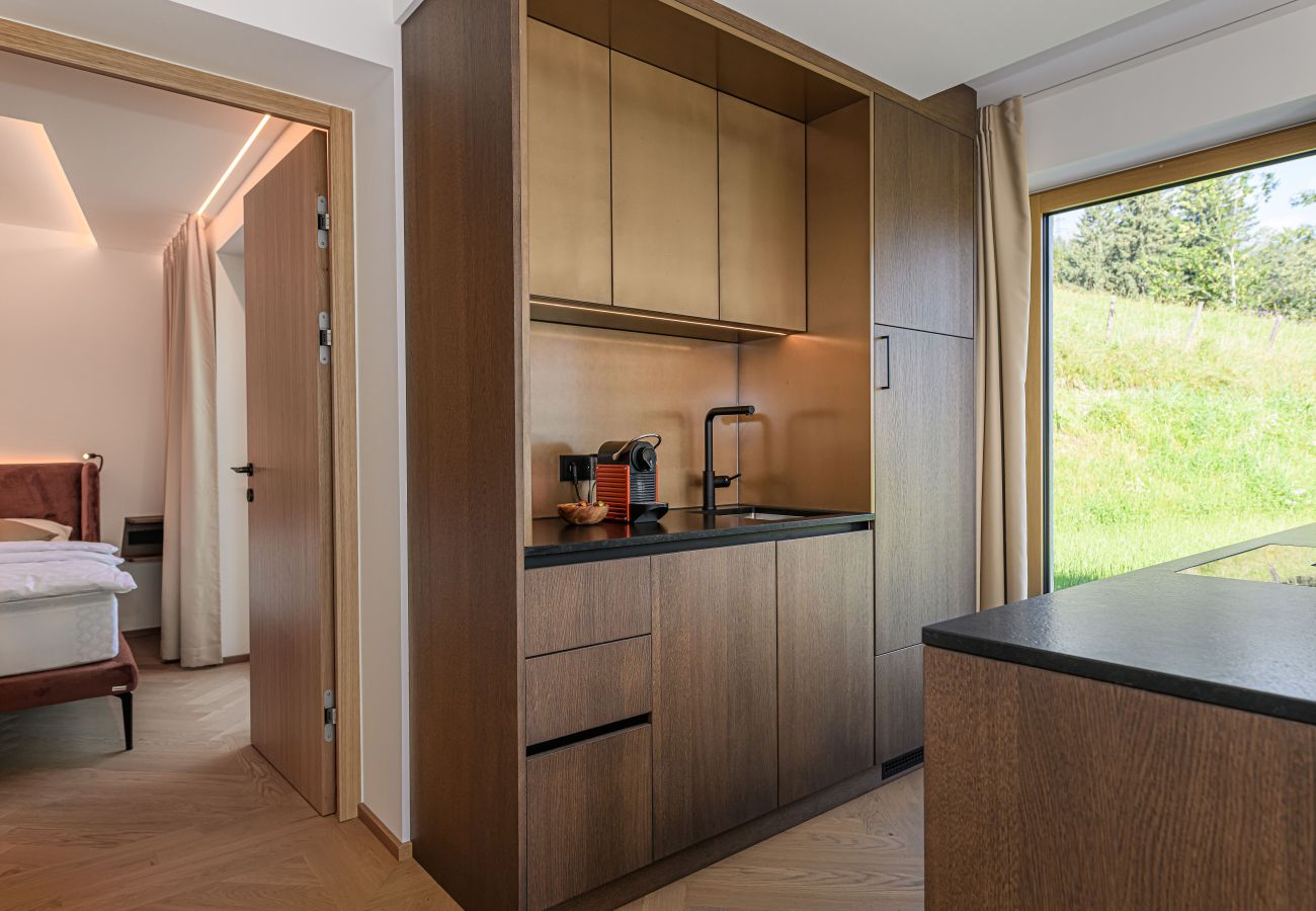 Apartment in Bad Hofgastein - Apartments VIU - 03 Great VIU