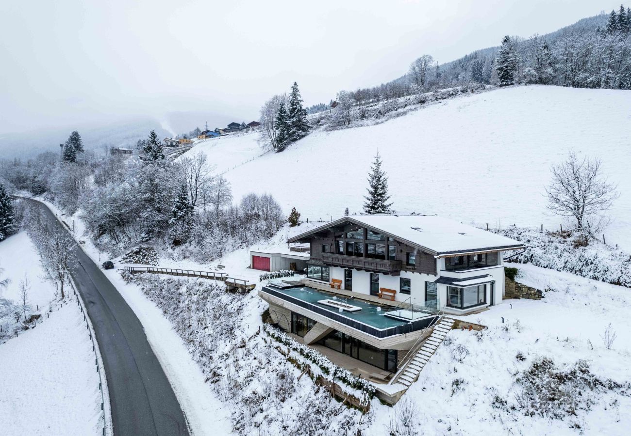 Apartment in Bad Hofgastein - Apartments VIU - 03 Great VIU