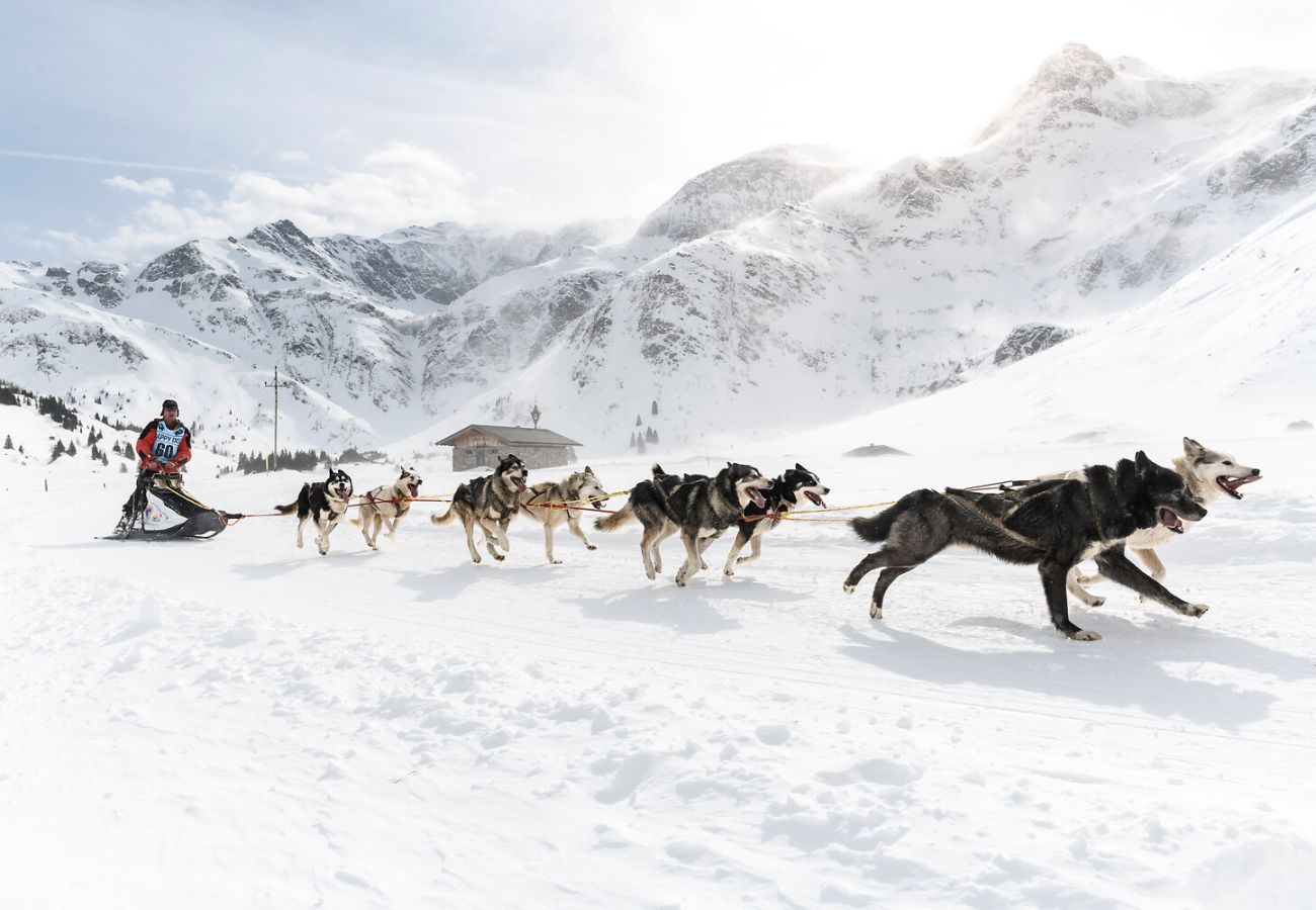 Chalet in Bad Gastein - Ferienhaus Höllbacher