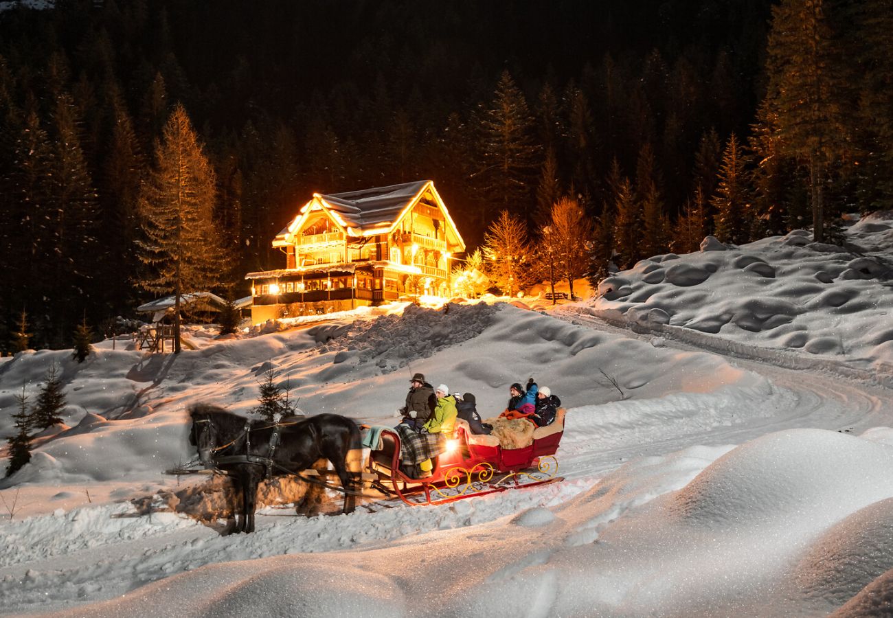 Studio in Bad Hofgastein - Apartments VIU - 01 Cozy VIU