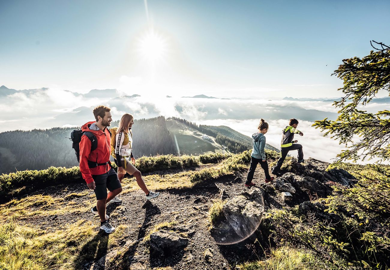 Ferienwohnung in Bruck an der Großglocknerstraße - Lennis Apartments - Top 3